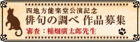 猫にまつわる俳句募集